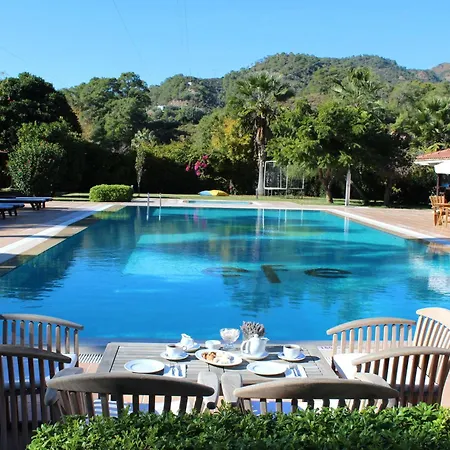 Efe Gocek 2*