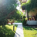 Efe Gocek